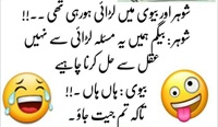 Biwi Shohar larai aur Aqal